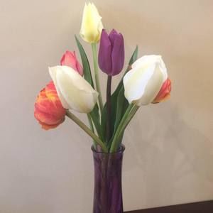 Meet your Posher, Regina